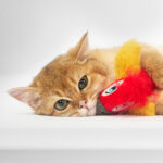 FOFOS Parrot with Catnip Balls Interactive Toy for Cats (Red) - Image 3