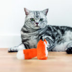 FOFOS Floppy Crinkle Fox Catnip Toy for Cats - Image 2