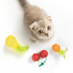 FOFOS Fruity Netting Ball Box Toy for Cats (1 Piece) - Image 2