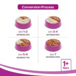 Whiskas Ocean Fish with Milk Dry Kitten (2-12 months) Food - Image 7