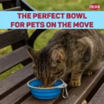Trixie Foldable Silicon Travel Bowl for Dogs and Cats (Blue/Gray) - Image 7