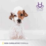 Hydra Groomers Ultra Dematting and Finishing Spray for Dogs and Cats, 500ml - Image 6