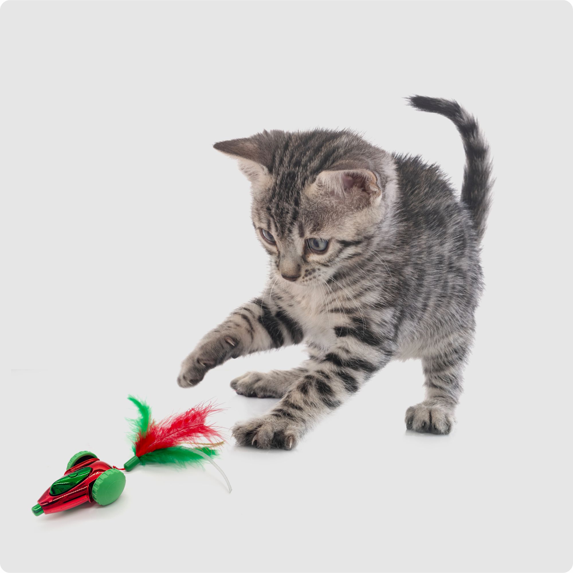 INTERACTIVE-CAR-7.jpg FOFOS Holiday Interactive Car Toy for Cats (Red)