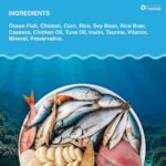 Top tail Ocean Fish Dry Food for Adult Cat - Image 5