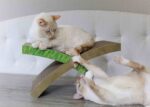 Petstages Easy Life Hammock Scratch and Sleep for Cats 54x35x8cm - Image 5