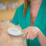 Andis Large Pin Brush White and Lime Green - Large - Image 4