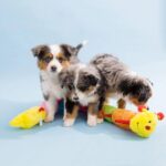 ZippyPaws Caterpillar Deluxe with 6 Blaster Squeakers Dog Toys - Image 2