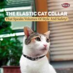 Trixie Elastic Cat Collar Various Colors One Size - Image 2