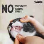 Pawpaya Tooth Wipes for Dogs and Cats, 40 Wipes - Image 5
