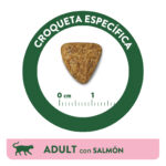 Libra Adult Salmon Dry Cat Food - Image 2