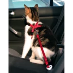 Trixie Car Harness for Cats (20-50cm, 15mm - Red) - Image 2