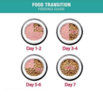 Me O Persian Kitten Dry Cat Food - Image 3