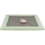 Trixie Junior Scratching Mat for Cats, Grey/Mint