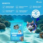Top tail Ocean Fish Dry Food for Adult Cat - Image 2