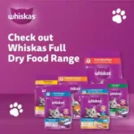 Whiskas Ocean Fish for Cats 50g - Image 4