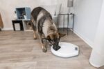 Trixie TX4+1 Automatic Pet Food Dispenser for Cats and Dogs, White/Grey - Image 6
