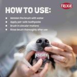 Trixie Toothbrush Set for Cats and Small Dogs, 15 cm, 4 Pcs, White - Image 3