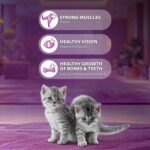Whiskas Mackerel Junior Cat Dry Food, 450 g - Image 3