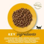 Applaws Complete Natural and Grain Free Dry Cat Food Kitten Chicken, 400g - Image 2