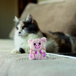 FOFOS Floppy Crinkle Pig Catnip Toy for Cats - Image 2