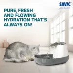 Savic Cascade White Anthracite Cat Water Fountain - Image 4