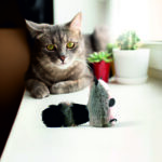 FOFOS Floppy Crinkle Raccoon Catnip Toy for Cats - Image 2