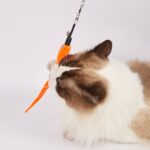 FOFOS Retractable Worm Teaser Toy with Catnip for Cats - Image 3