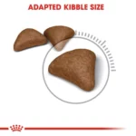 Royal Canin Hairball Care Dry Cat Food (Premium Nutrition) - Image 2