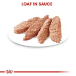 Royal Canin Instinctive Loaf Adult Wet Cat Food - 85g - Image 2