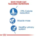 Royal Canin Light Weight Care Gravy Wet Cat Food - 85g - Image 4
