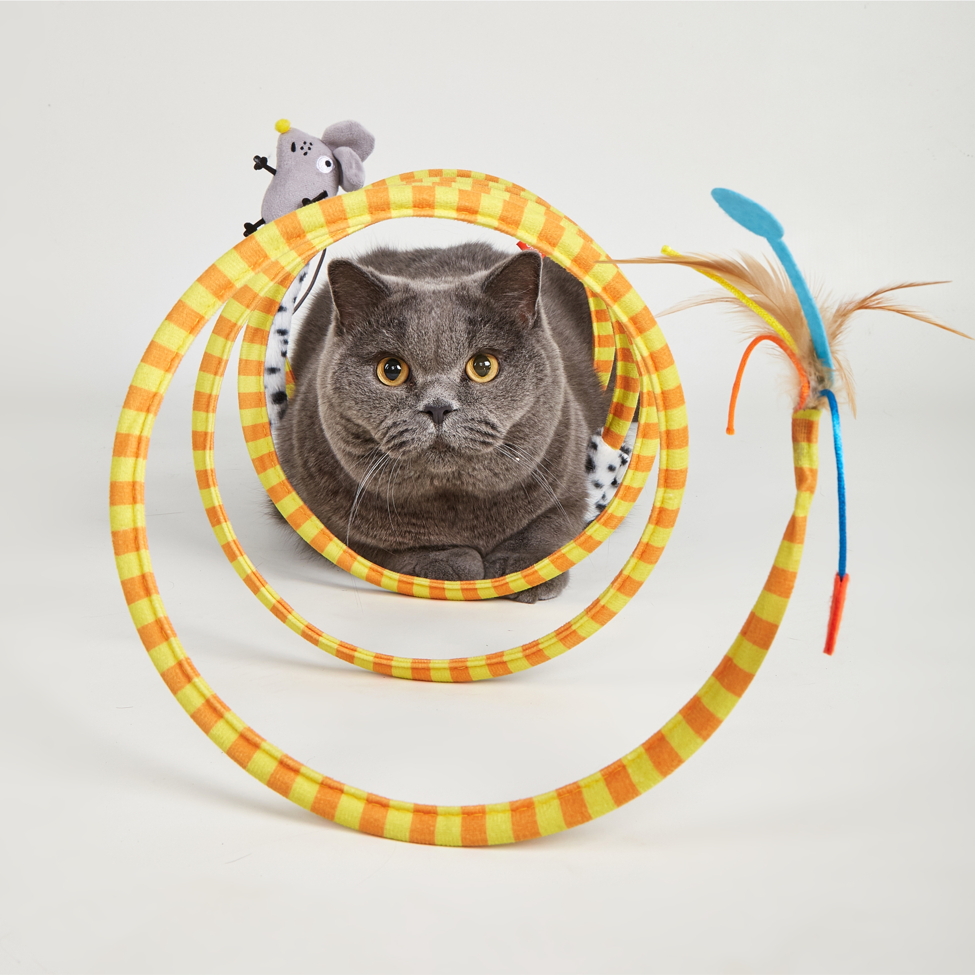 SAFARI-SPIRAL-CAT-TUNNEL-9.jpg FOFOS Safari Spiral Tunnel Toy for Cats