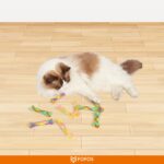 FOFOS Spring Tube Catnip Toy for Cats - Image 6