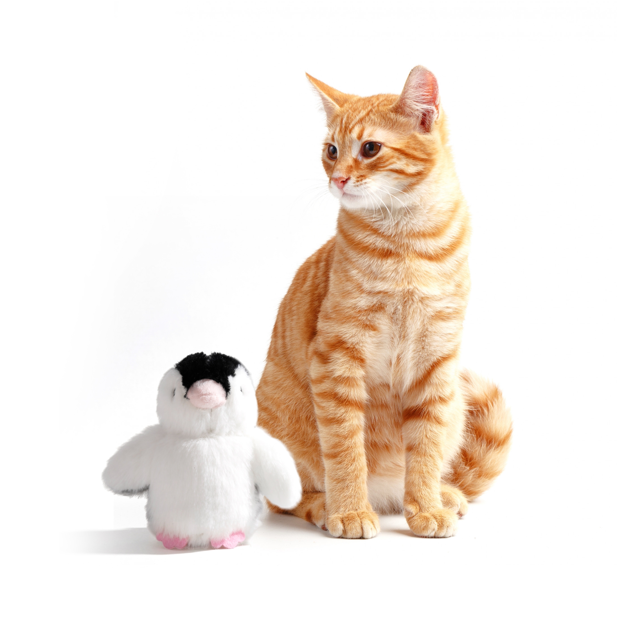 SWINGING-PENGUIN-8.jpg FOFOS Swinging Penguin Toy for Cats