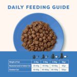 Applaws Complete Natural Dry Cat Food Adult Ocean Fish with Salmon - Image 6