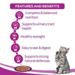 Whiskas Chicken in Gravy Meal Kitten Cat Wet Food 85g - Image 6