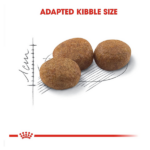 Royal Canin Regular Sterilised Adult Dry Cat Food - Image 2