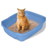 Best Clean Cat Litter Lemon, 5 Kg - Image 2