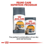 Royal Canin Hair & Skin Dry Cat Food - Image 4
