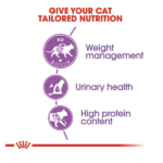 Royal Canin Regular Sterilised Adult Dry Cat Food - Image 4