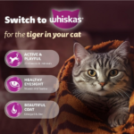 Whiskas Chicken Flavour Adult (+1 year) Dry Cat Food - Image 4