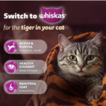 Whiskas Mackerel Adult Dry Cat Food - Image 4
