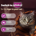 Whiskas Ocean Fish with Milk Adult Dry Cat Food - Image 4