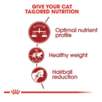 Royal Canin Nutrition Fit 32 Dry Cat Food - Image 4