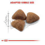 Royal Canin Indoor 27 Dry Cat Food - Image 4