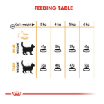 Royal Canin Hair & Skin Dry Cat Food - Image 6