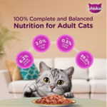 Whiskas Chicken Gravy Adult Wet Cat (1+ year) Food - 80g - Image 4