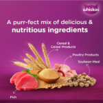 Whiskas Ocean Fish with Milk Adult Dry Cat Food - Image 5