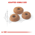 Royal Canin Nutrition Fit 32 Dry Cat Food - Image 5