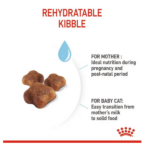 Royal Canin Mother & Baby Cat Dry Cat Food - Image 5
