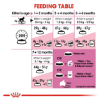 Royal Canin Second Age Kitten Dry Cat Food - Image 6